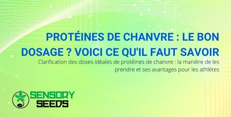 Clarifications sur les dosages et modes d'utilisation des protéines de chanvre.