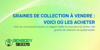 Acheter des graines de collection de qualité testée
