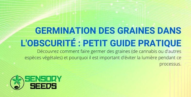 Petit guide pour faire germer des graines dans l'obscurité