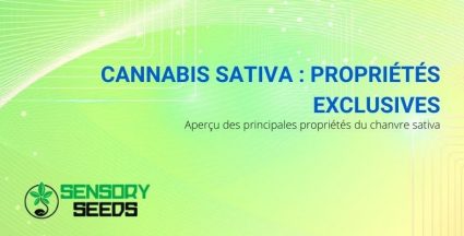 Les propriétés uniques du cannabis sativa