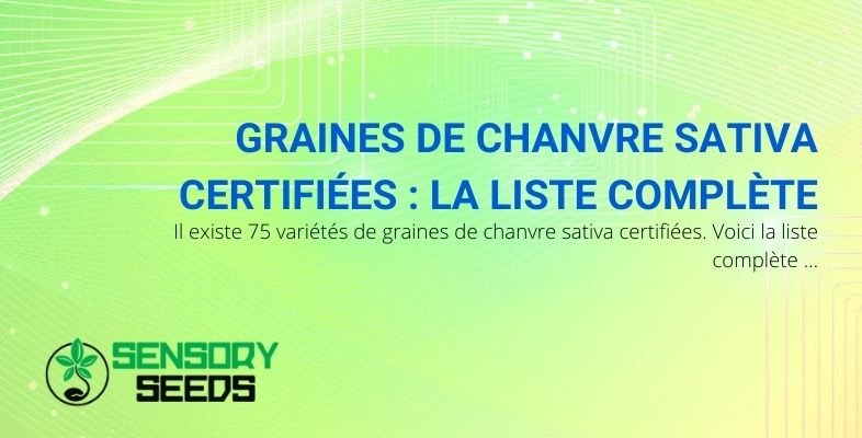 liste-des-graines-de-chanvre-sativa-certifiées