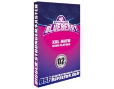 graines autofloraison Blueberry auto 