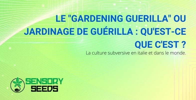 Qu'est-ce que le Guerilla Gardening ?