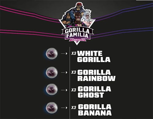 graines de cannabis féminisée gorilla familia