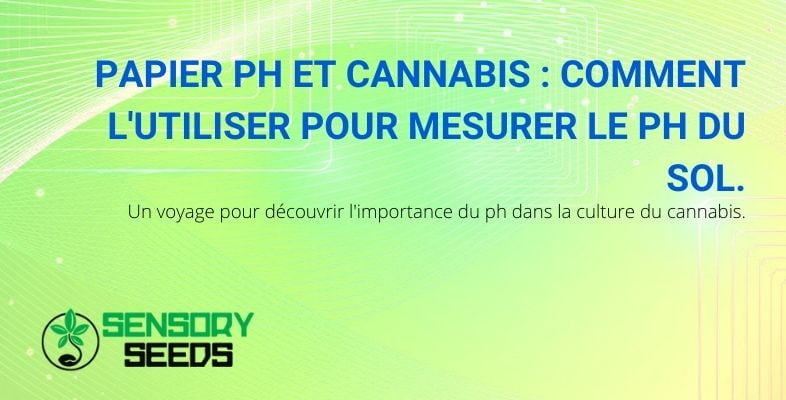 Papier tournesol et pH du sol pour le cannabis