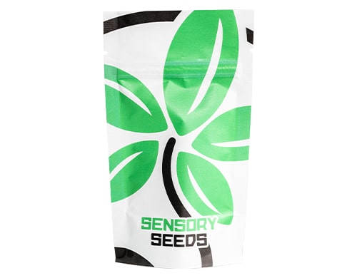 packaging-graines-de-cannabis-space-mango