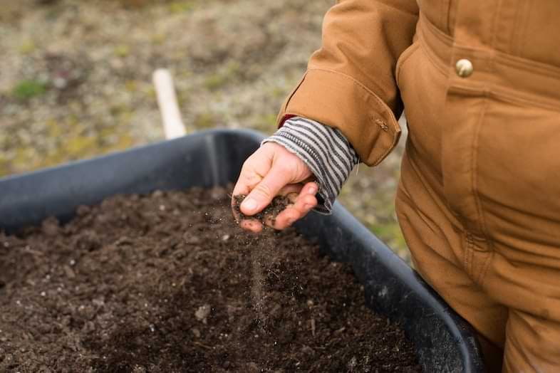 Les nutriments du chanvre