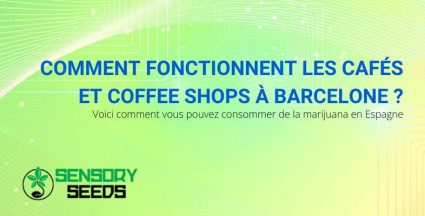 Comment fonctionnent les cafés à Barcelone ?