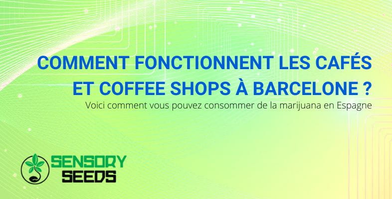 Comment fonctionnent les cafés à Barcelone ?