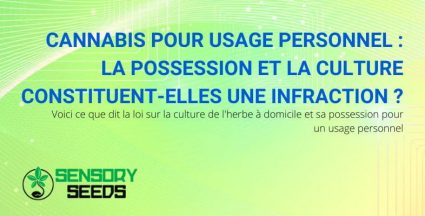 La possession et la culture de cannabis pour usage personnel constituent-elles une infraction ?