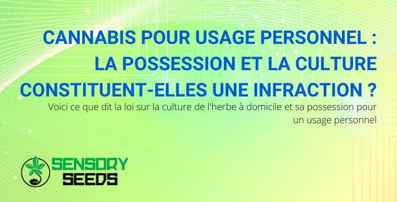 La possession et la culture de cannabis pour usage personnel constituent-elles une infraction ?