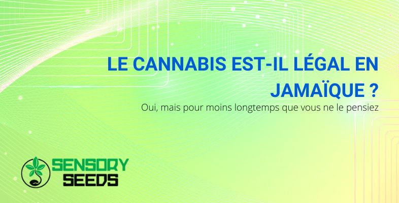 Quand la Jamaïque a légalisé le cannabis?