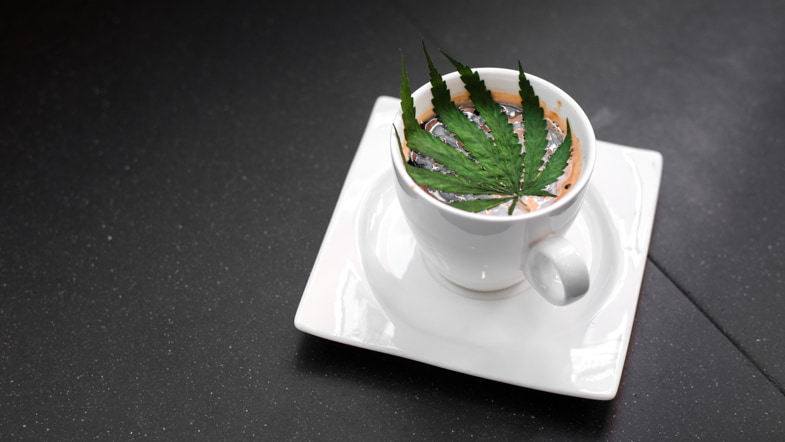 Cappuccino cannabis