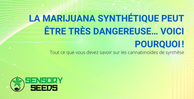 La marijuana synthétique est-elle dangereuse ?