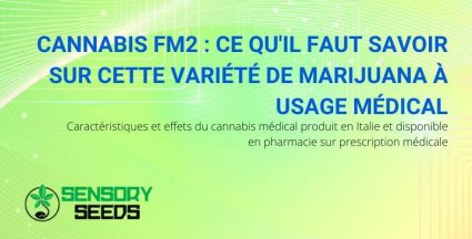 Tout sur le cannabis médical FM2
