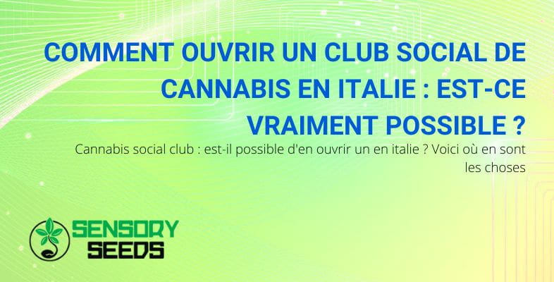 Cannabis social club en Italie : comment l'ouvrir ?