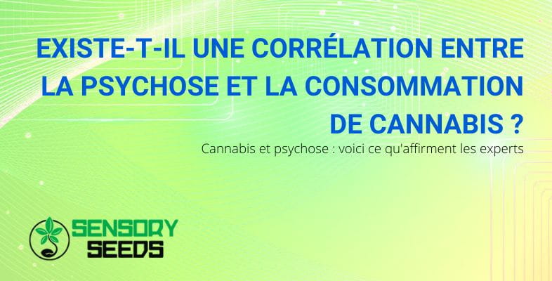 La corrélation entre la psychose et le cannabis