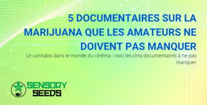 La marijuana et 5 documentaires à voir absolument