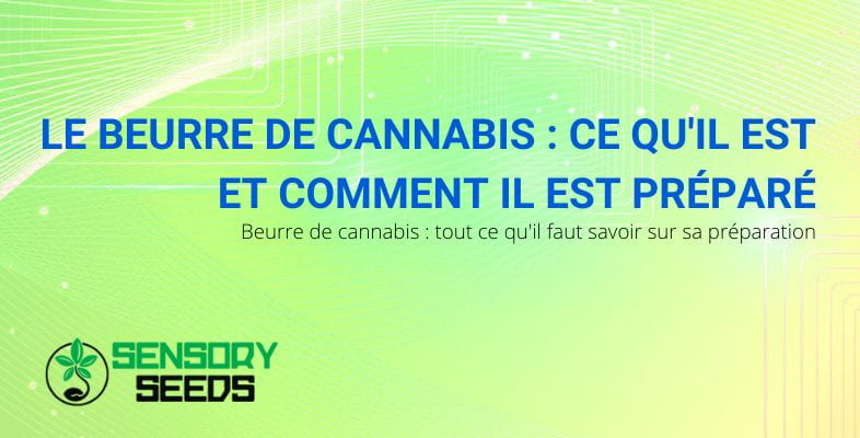 Qu'est-ce que le beurre de cannabis et comment est-il préparé ?