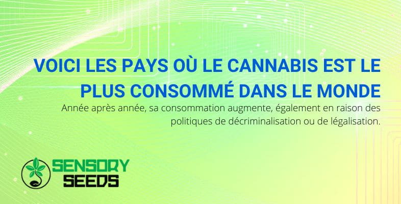 Les pays où la consommation de cannabis est la plus élevée | Sensoryseeds