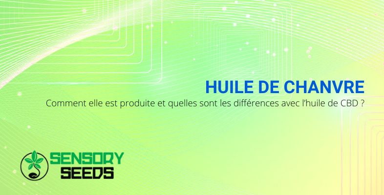 Production d'huile de chanvre et différences avec l'huile de CBD | Sensory