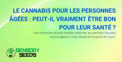 Le cannabis est-il utile aux personnes âgées ?