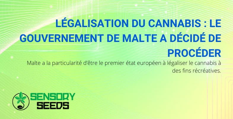 Malte et la légalisation du cannabis | Sensory Seeds