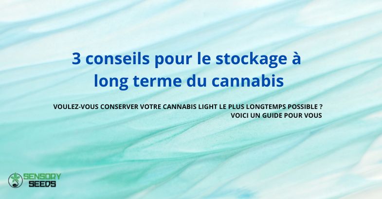 3 conseils pour le stockage à long terme du cannabis