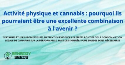 Activité physique et cannabis : pourquoi ils pourraient être une excellente combinaison à l'avenir ?