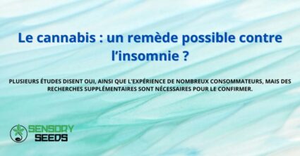 Le cannabis : un remède possible contre l’insomnie ?