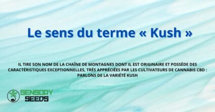 Le sens du terme « Kush »