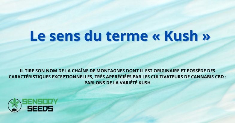 Le sens du terme « Kush »