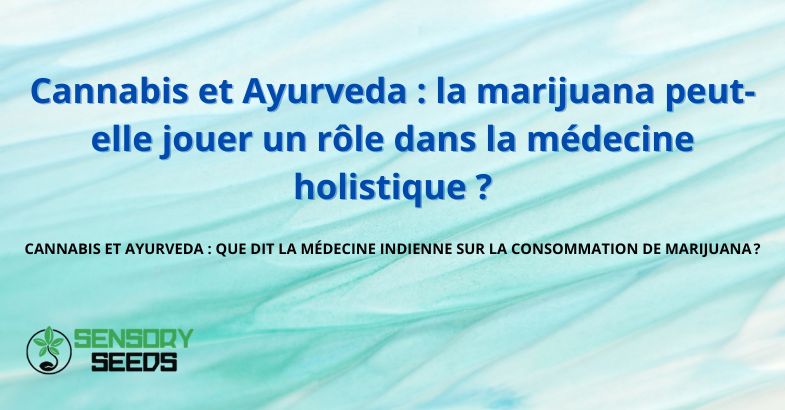 Cannabis et Ayurveda : la marijuana peut-elle jouer un rôle dans la médecine holistique ?