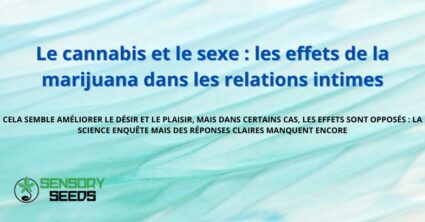 Le cannabis et le sexe : les effets de la marijuana dans les relations intimes