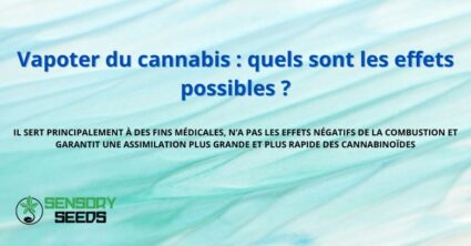 Vapoter du cannabis : quels sont les effets possibles ?