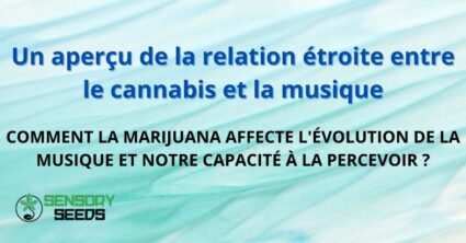 Un aperçu de la relation étroite entre le cannabis et la musique