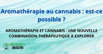 Aromathérapie au cannabis : est-ce possible ?