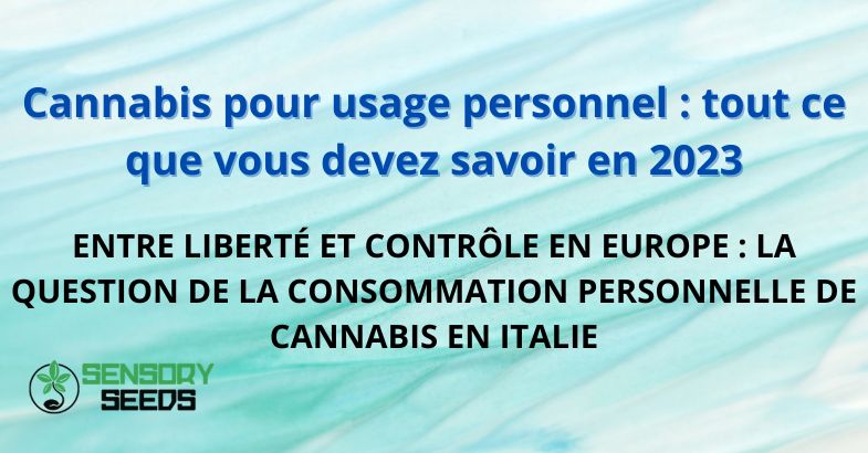 Cannabis pour usage personnel : tout ce que vous devez savoir en 2023