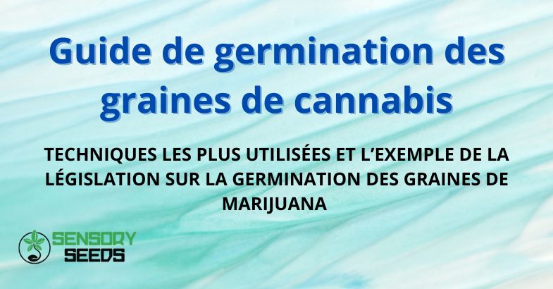 Guide de germination des graines de cannabis