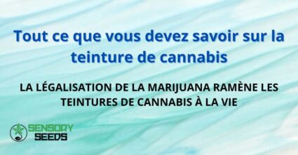 Tout ce que vous devez savoir sur la teinture de cannabis