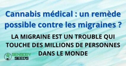 Cannabis médical : un remède possible contre les migraines ?