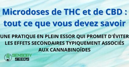 Microdoses de THC et de CBD : tout ce que vous devez savoir