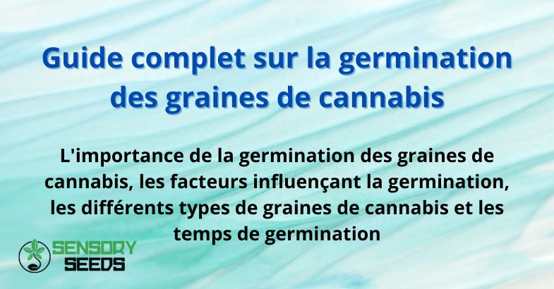 Guide complet sur la germination des graines de cannabis