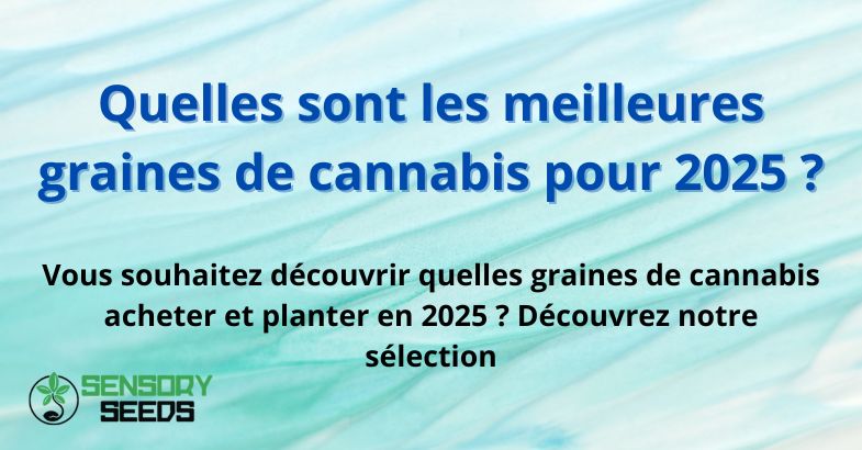 Quelles sont les meilleures graines de cannabis pour 2025 ?