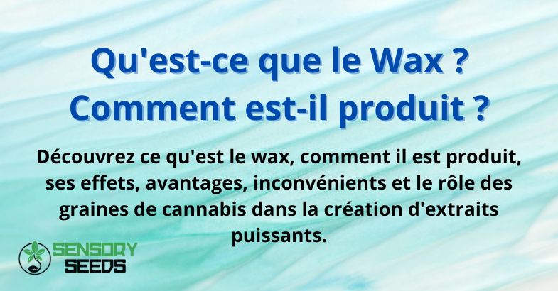 Qu'est-ce que le Wax ? Comment est-il produit ?