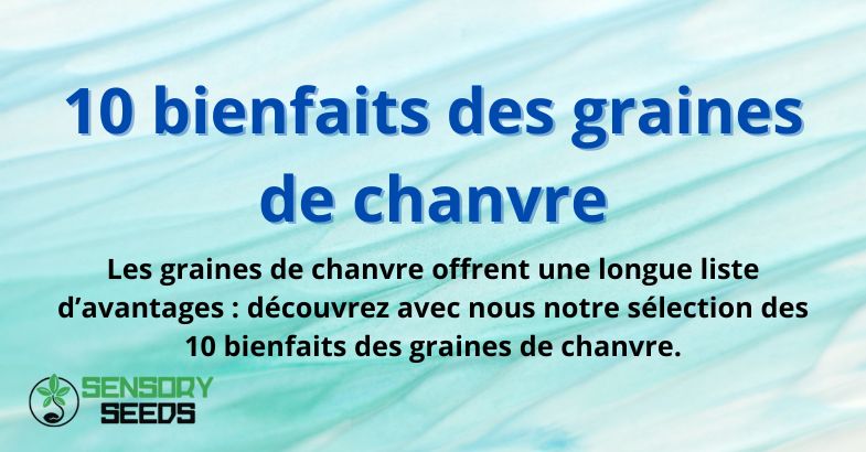 10 bienfaits des graines de chanvre
