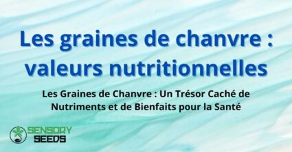 Les graines de chanvre : valeurs nutritionnelles