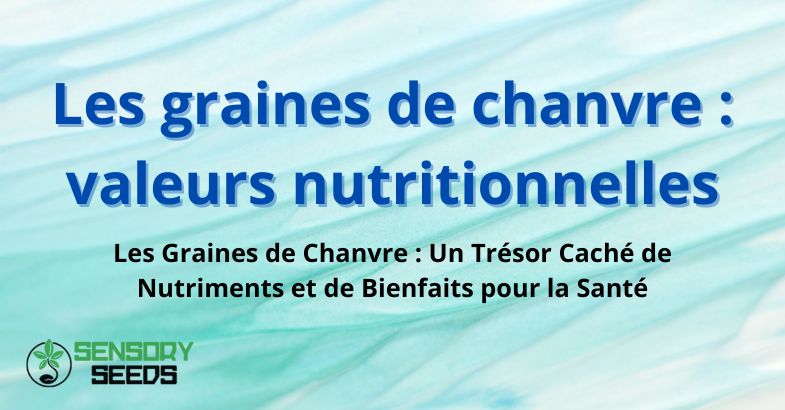 Les graines de chanvre : valeurs nutritionnelles