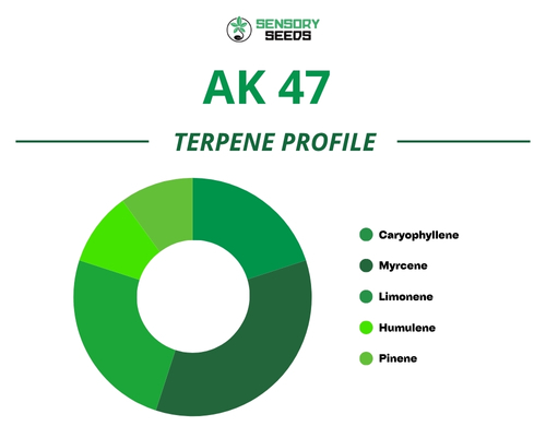 Graphique circulaire du profil terpénique de la variété AK 47