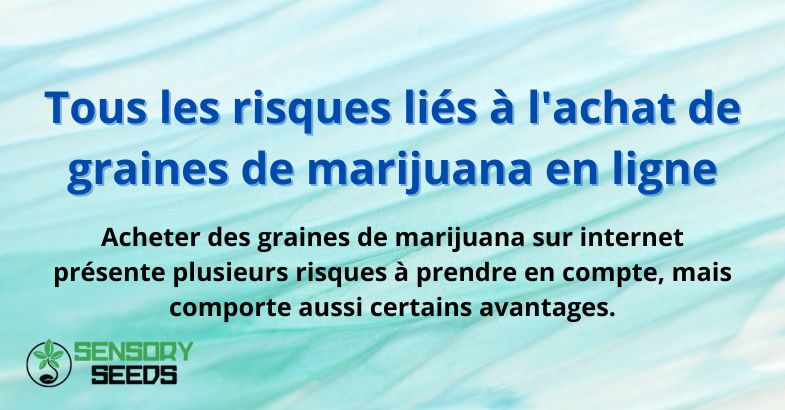 Tous les risques liés à l'achat de graines de marijuana en ligne
